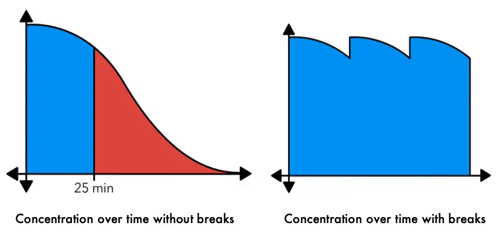 Graph showing concentration drop off being significant after 25 minutes